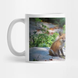 Red Fox Kit Mug